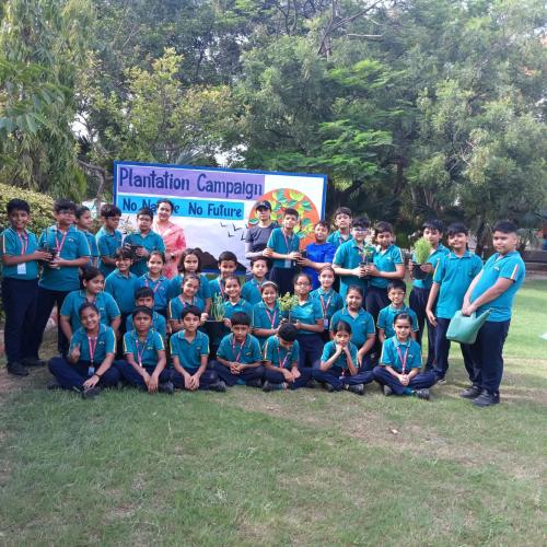 MY TREES PROGRAM (Primary), 8th July 2024