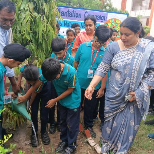 Tree Plantation Activity