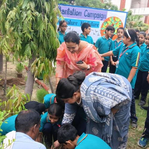 Tree Plantation Drive